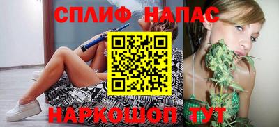 шишки Дубна