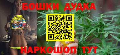 шишки Дубна