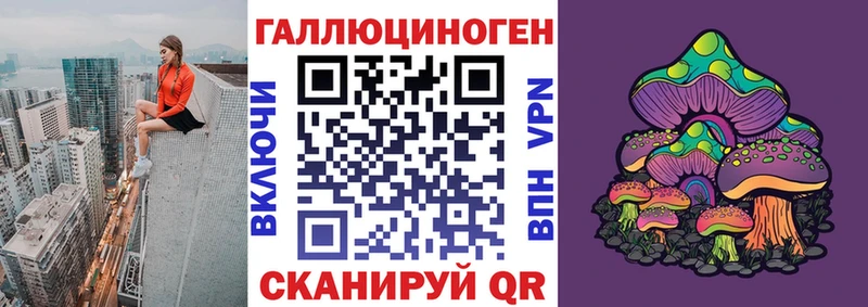 дарнет шоп Шуя Псилоцибиновые грибы GOLDEN TEACHER
