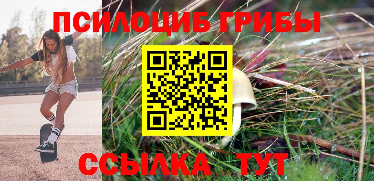 Шуя  Галлюциногенные грибы MAGIC MUSHROOMS  как найти   Вход с VPN 
